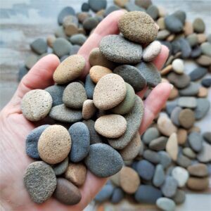 Handful of small flat sea stones