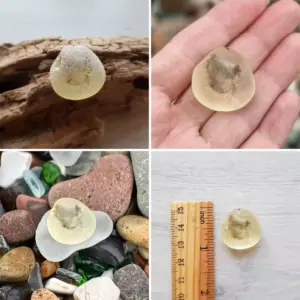 Yellow Bonfire Glass - Japan Sea glass