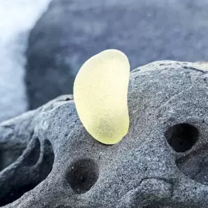 Yellow bottle bottom
