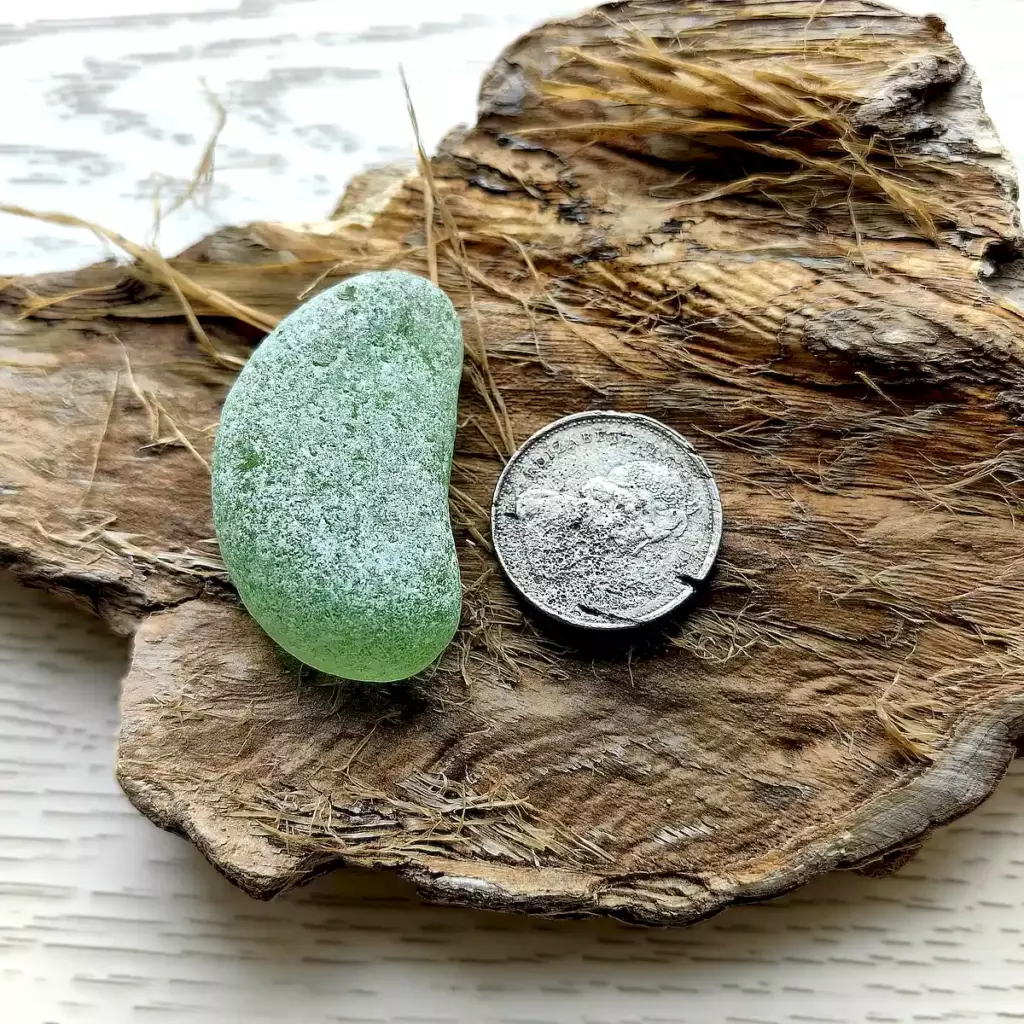 Partial green bottom displayed with a coin for reference
