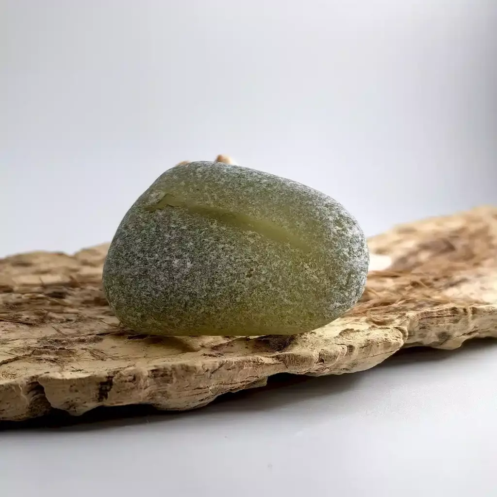 Extra Large Olive sea glass displayed on a driftwood