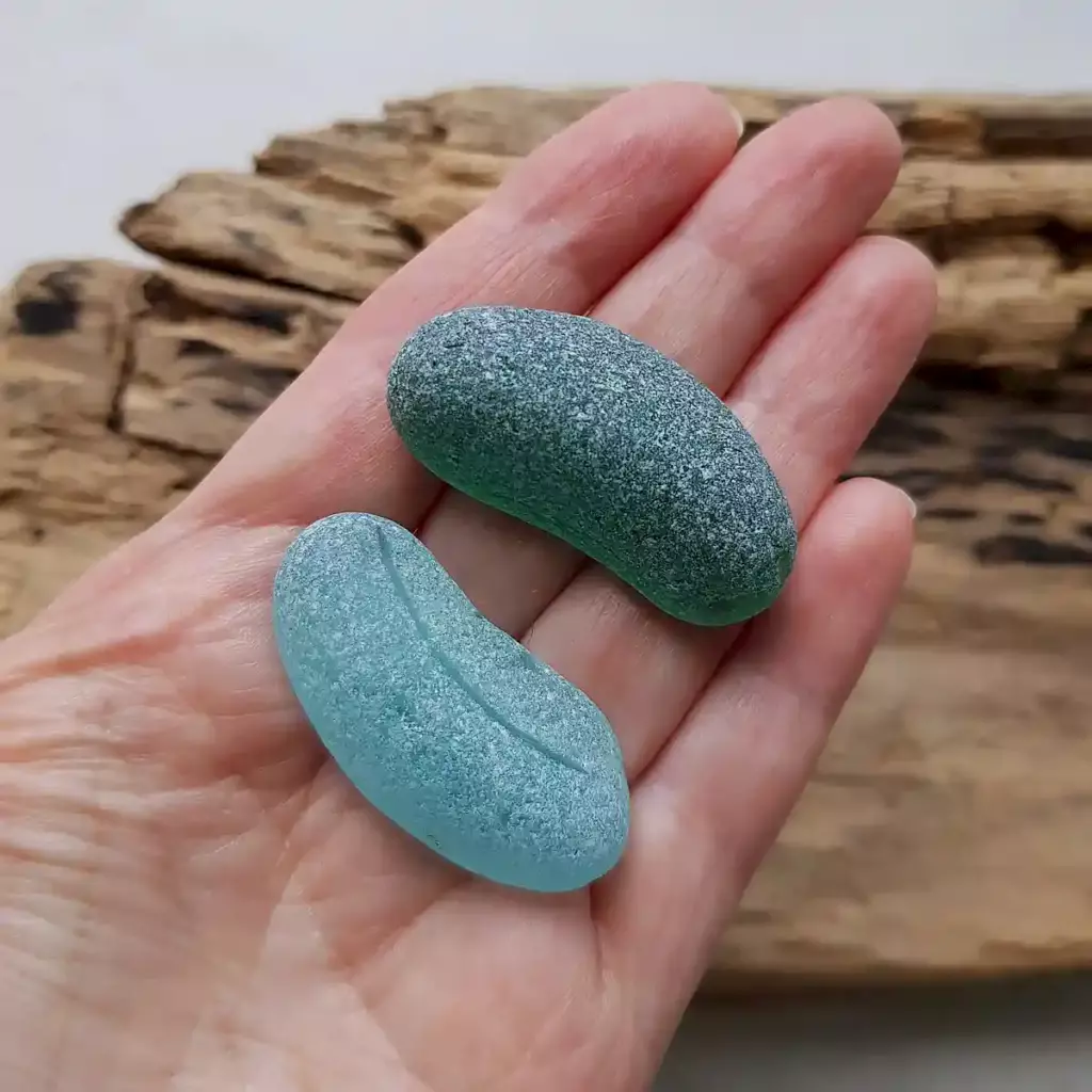 Partial Teal Blue Bottle Bottoms