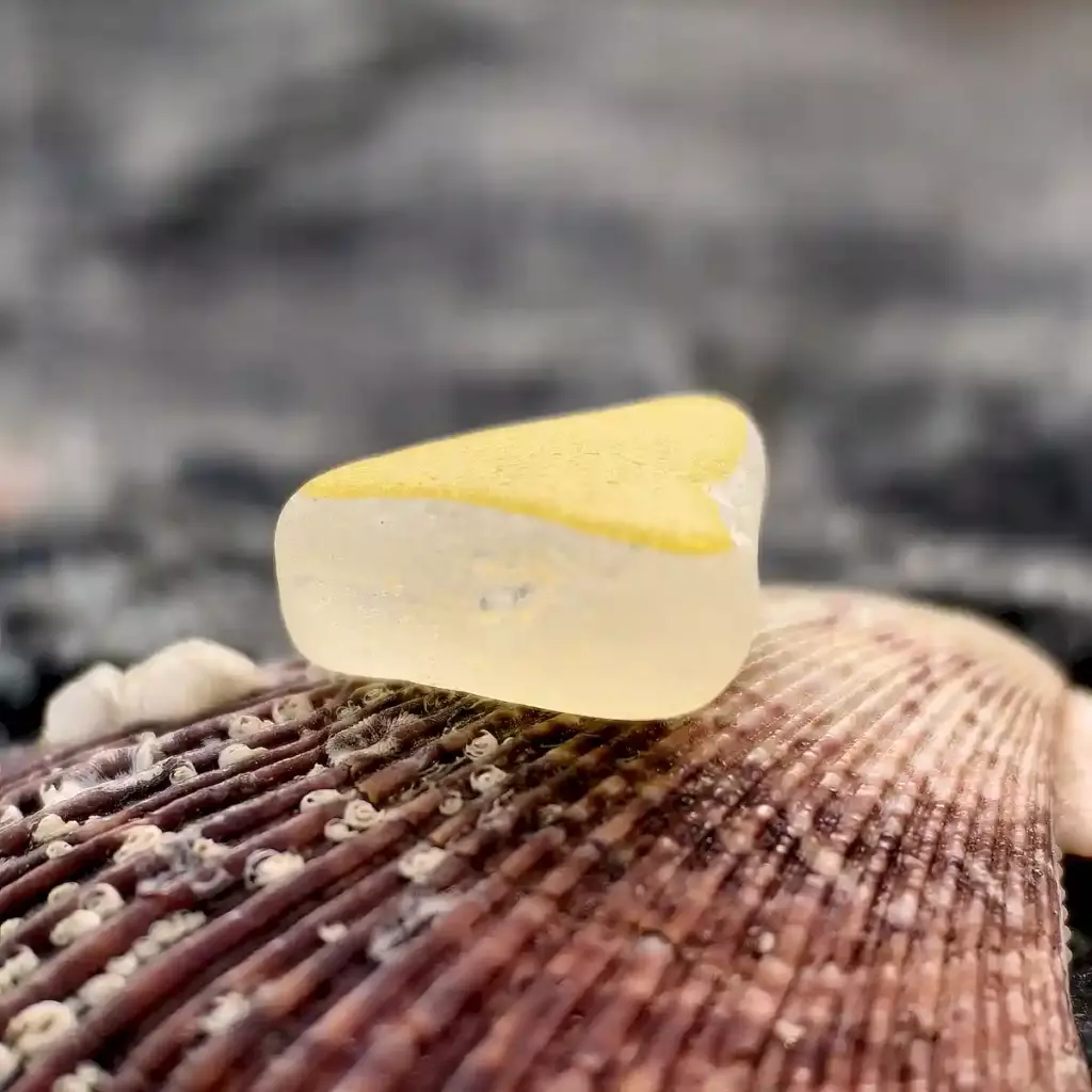 Genuine Yellow SeaGlass