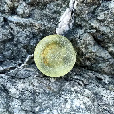Yellow Bottom