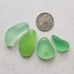 Exotic Green Sea Glass Gems - Japan Sea glass