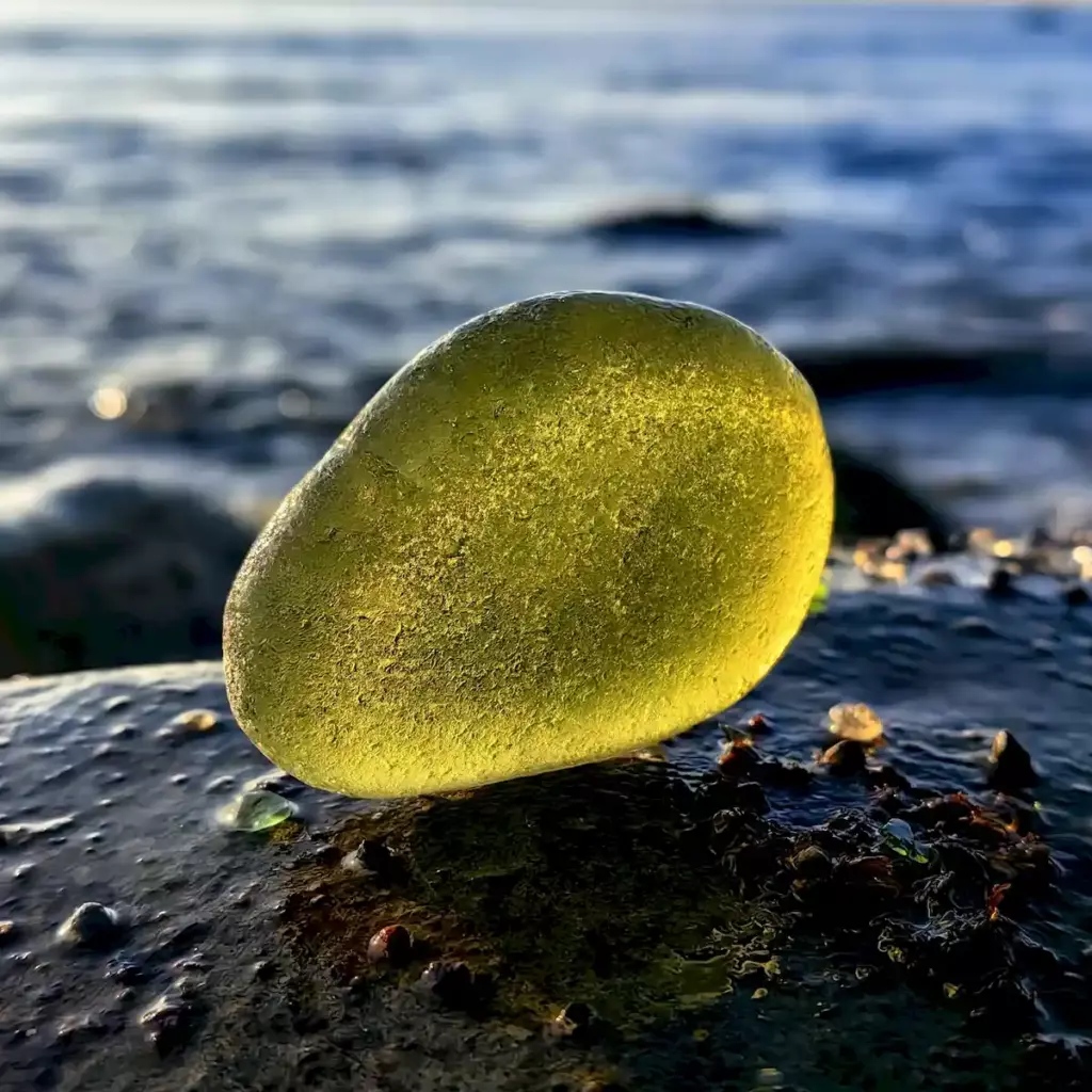 Gorgeous Huge Olive Sea Glass - Japan Sea glass
