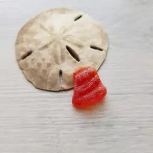 Gorgeous Rare Textured Red Sea Glass - Japan Sea glass