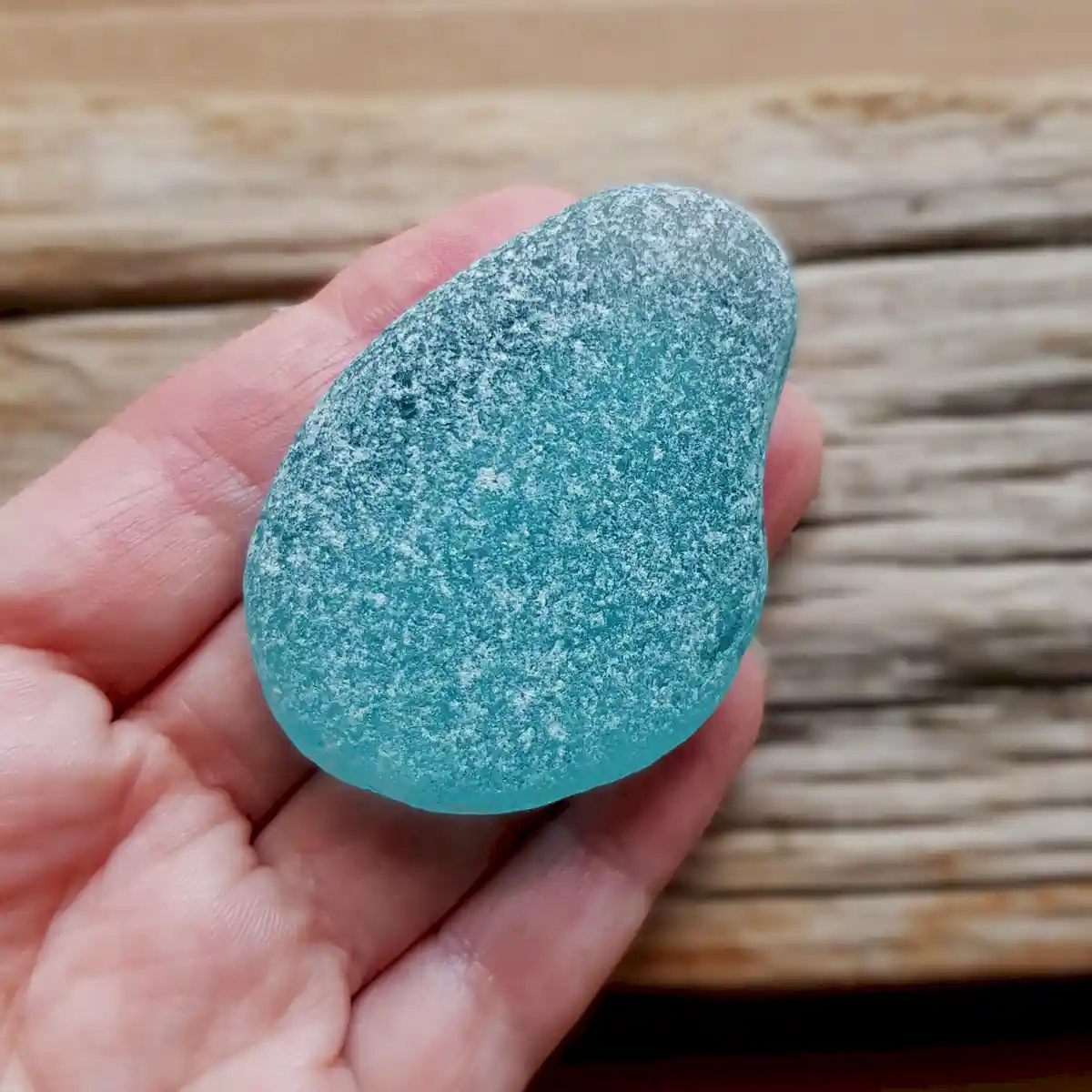 Extra Large Genuine Turquoise Sea Glass