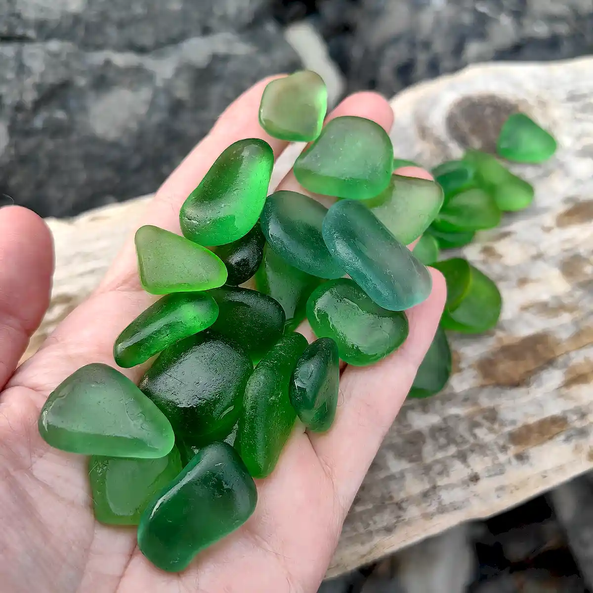 Genuine Green Sea Glass for Jewelry - Japan Sea glass