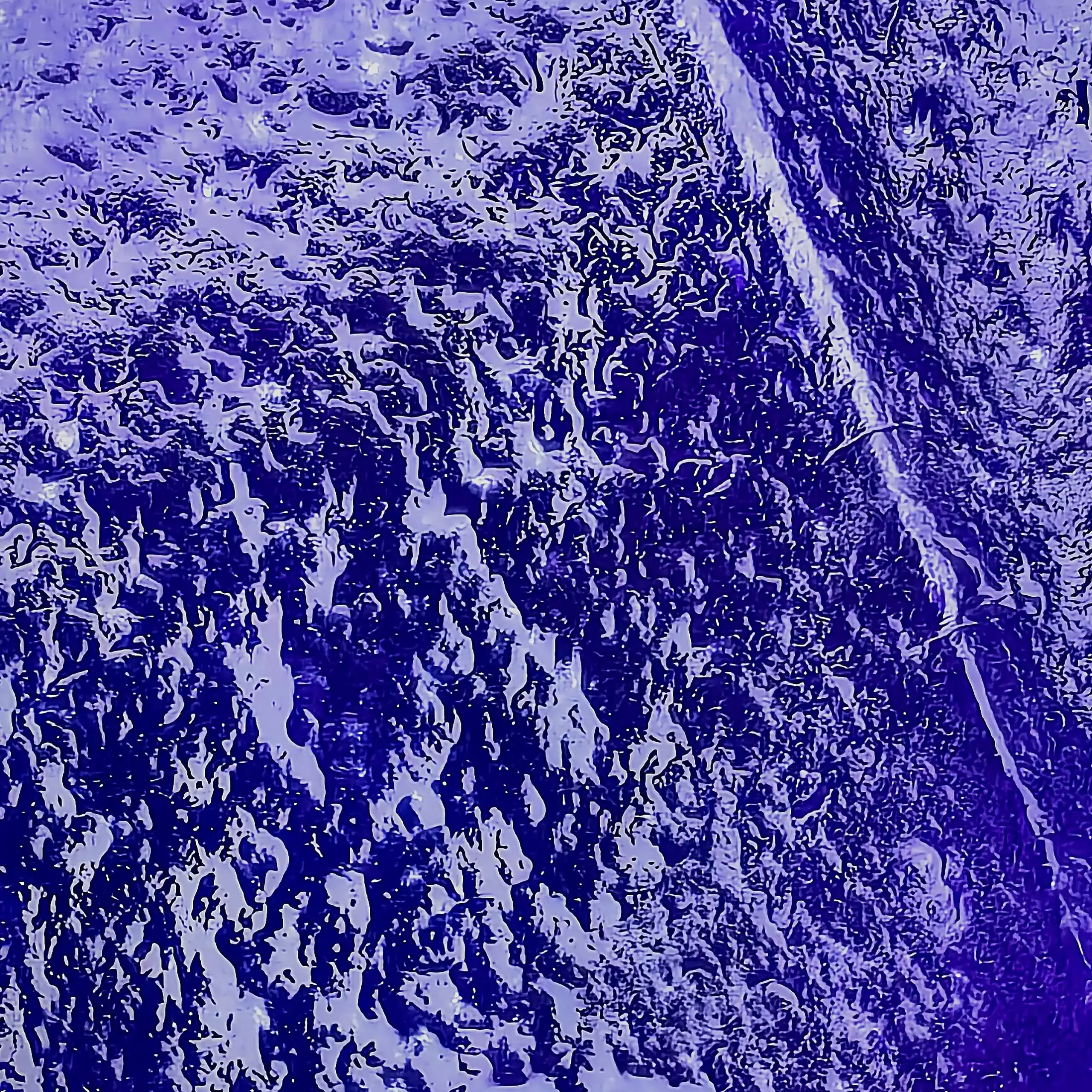 Wet cobalt shard under 10x magnification: hydration crust and micro-fractures.